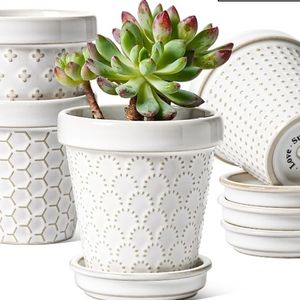 Le Tauci garden ceramic plant pot